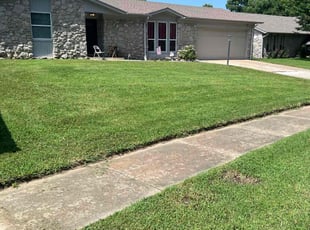 Pam S.'s yard care service result