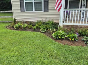 Bevan B.'s yard maintenance service result