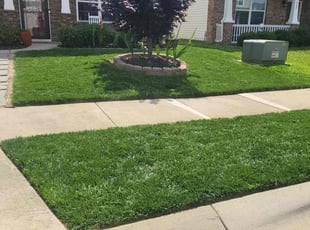 Jody G.'s lawn service service result