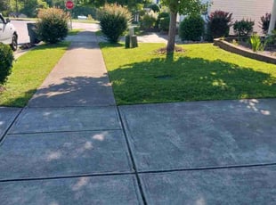 Danielle W.'s lawn service service result