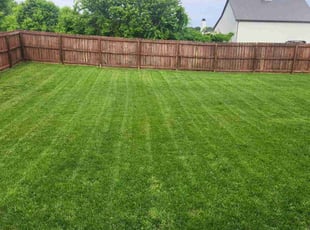 Monica S.'s lawn maintenance service result