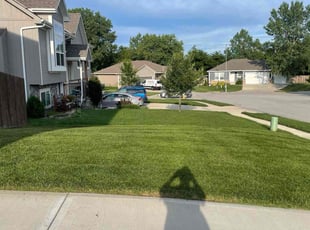 Matt K.'s lawn care service result