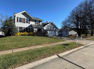 Alfredo R.'s Leaf Removal service result