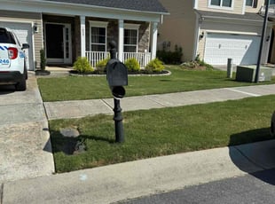 Adrienne M.'s grass cutting service result