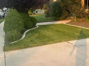 Todd L.'s turf maintenance service result