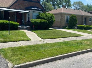 Elisabeth C.'s yard work service result