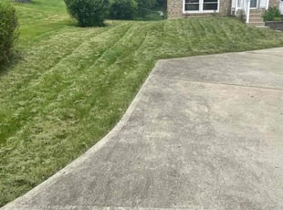 Danny D.'s lawn service service result