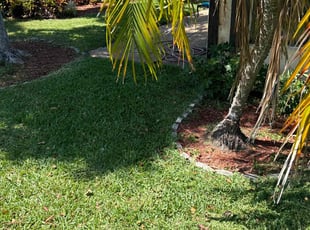 Brad S.'s turf care service result