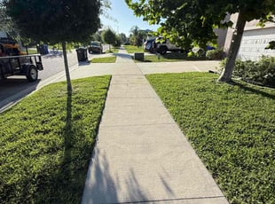 Blake B.'s turf care service result