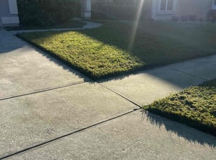 Gurcan O.'s lawn care service result