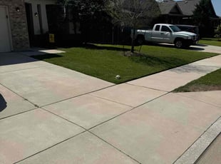 Ramesh S.'s turf care service result