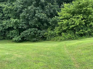 Christian S.'s turf maintenance service result