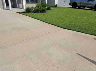 Vanessa S.'s grass maintenance service result