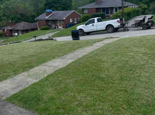 Aaron O.'s lawn care service result