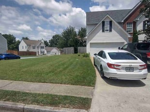 Meghan C.'s grass cutting service result