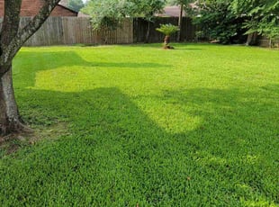 Gwendolyn D.'s grass maintenance service result