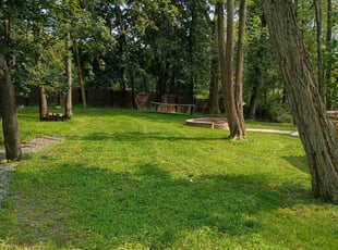 Timothy W.'s turf maintenance service result