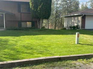 Molly B.'s grass cutting service result