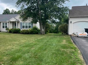 Sophia W.'s lawn care services service result