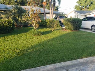 Cheryl S.'s yard care service result
