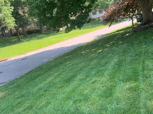 Robert C.'s turf care service result