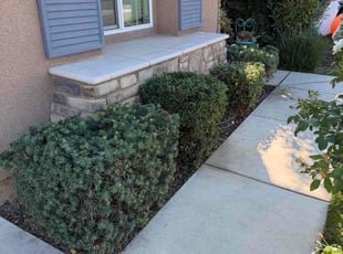 Larry R.'s Bush Trimming service result