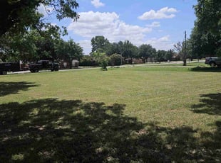 Genella P.'s lawn care service result