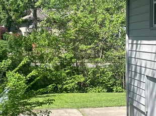 Sarah C.'s lawn maintenance service result