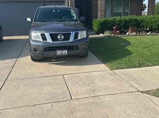 Eleanor S.'s grass cutting service result