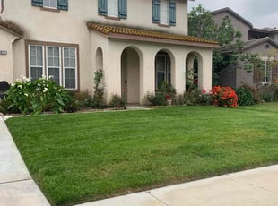 Brenda C.'s turf maintenance service result