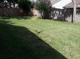 Judy H.'s lawn service service result