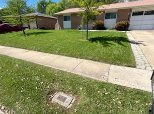 Tina T.'s lawn care services service result
