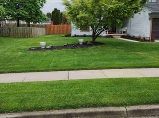 Beth A.'s lawn maintenance service result