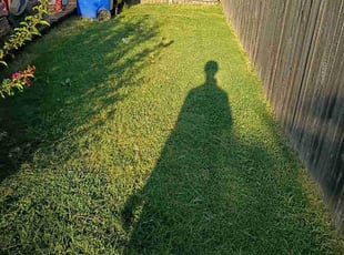 Mark V.'s grass cutting service result