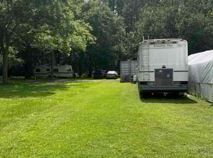 Pamela S.'s grass cutting service result