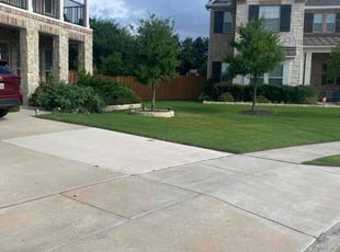 Phil D.'s lawn care service result