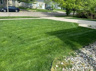 Victoria G.'s lawn care services service result