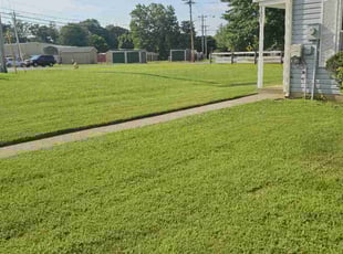 Aaron R.'s turf maintenance service result