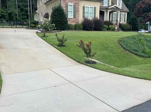 Bryant V.'s turf maintenance service result