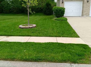 Nicole A.'s lawn service service result