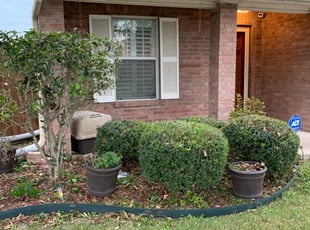 Peter A.'s Bush Trimming service result