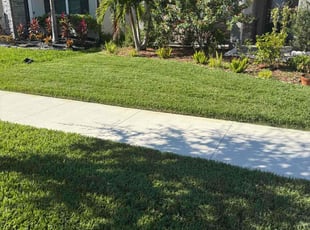 Erin H.'s grass cutting service result