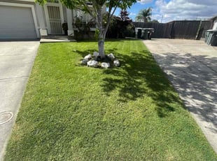Melissa R.'s landscape maintenance service result