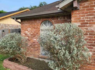 Jacob M.'s Bush Trimming service result