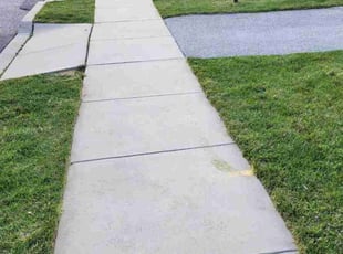 Lawrence G.'s lawn maintenance service result
