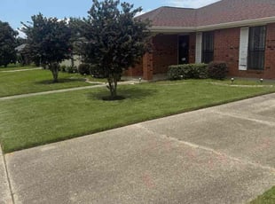 Susan D.'s turf maintenance service result