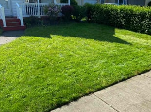 Janice D.'s lawn maintenance service result