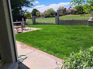 Nathan A.'s turf maintenance service result