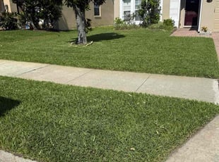 Rachel B.'s lawn maintenance service result