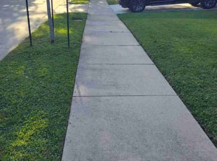Mike S.'s lawn care services service result